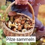 Alte Provinz Ruhige Zentrale Lage Nyaraló