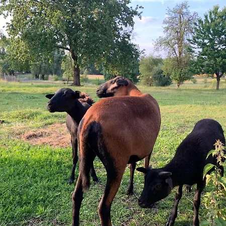 Alte Provinz Ruhige Zentrale Lage 펜션