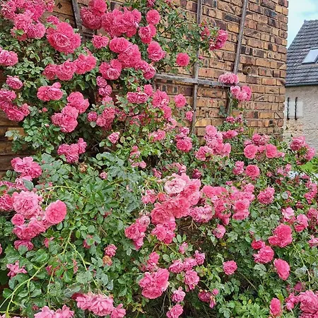 Vakantiehuis Alte Provinz Ruhige Zentrale Lage Kromlau