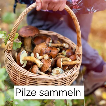 Alte Provinz Ruhige Zentrale Lage 펜션