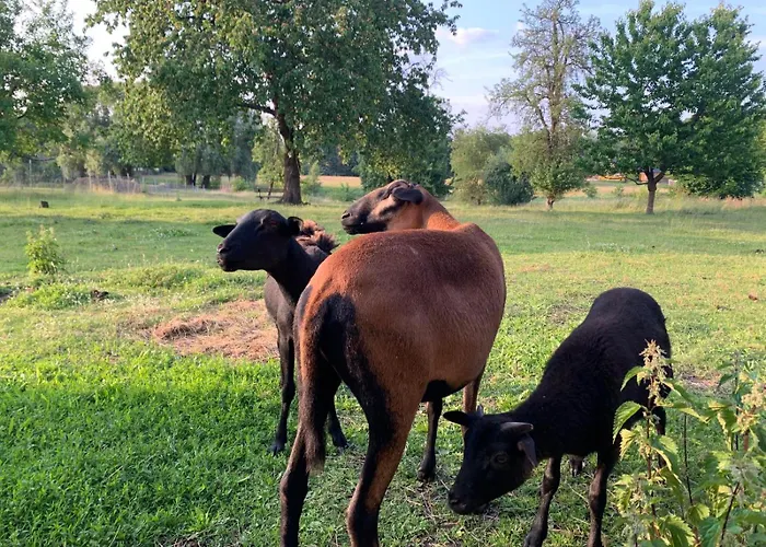 Alte Provinz Ruhige Zentrale Lage Holiday home