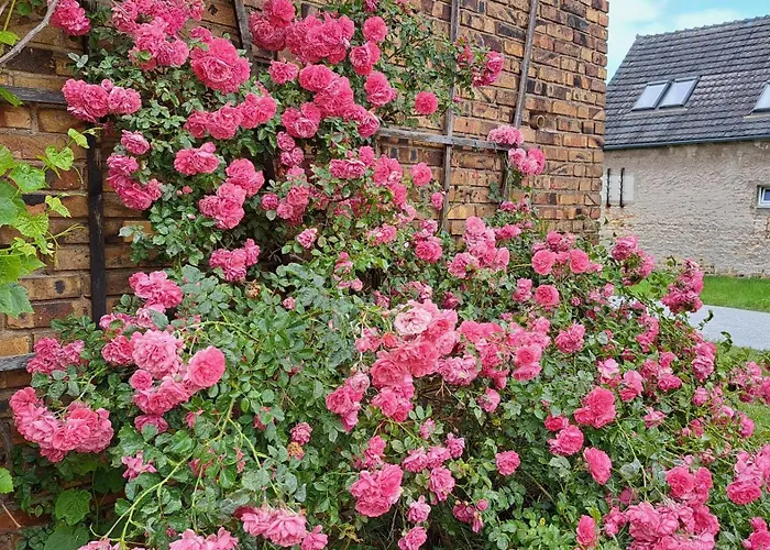 Holiday home Alte Provinz Ruhige Zentrale Lage Kromlau