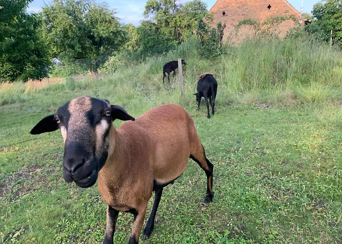 Alte Provinz Ruhige Zentrale Lage * Kromlau