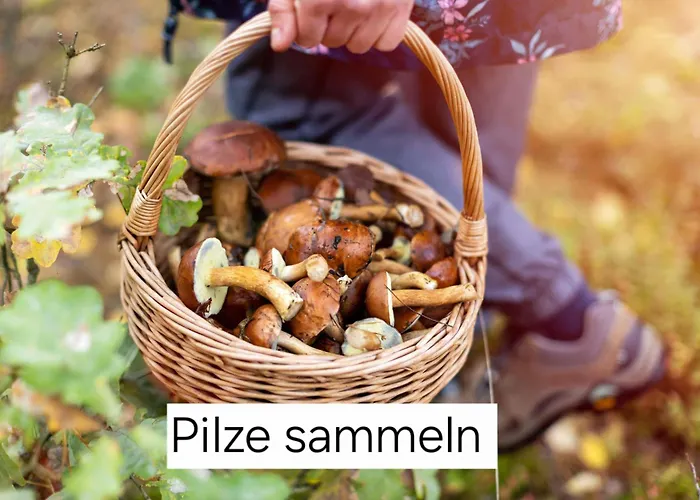 Alte Provinz Ruhige Zentrale Lage Holiday home